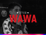 "Let's go Wawa", the documentary