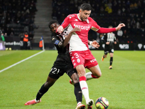 Réception, opposés, Tsar… quelles sont les stats à connaître avant Angers ?