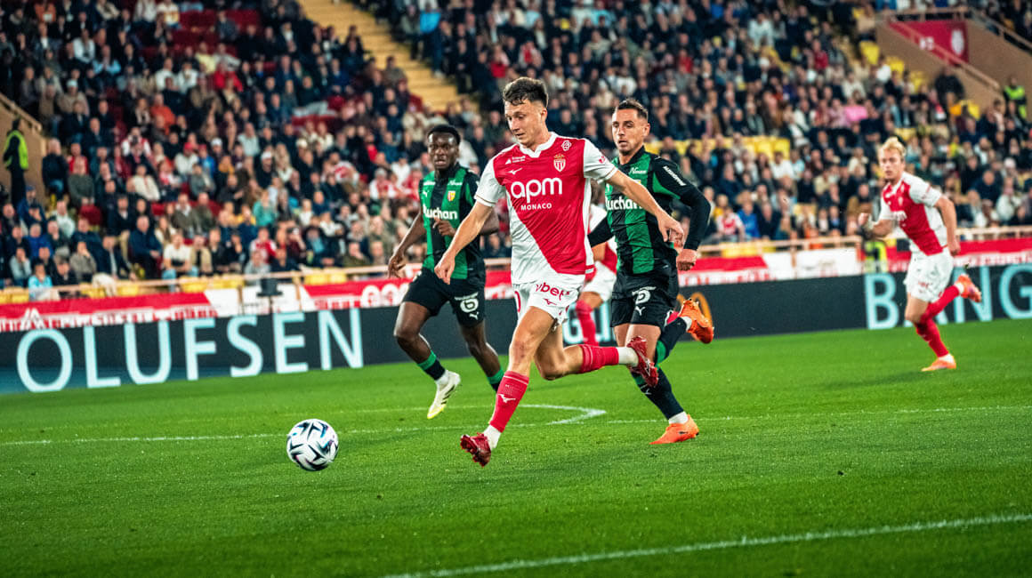 Mushukning chiroyli yaqin plani